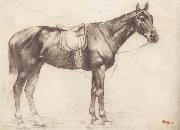 Horse with Saddle and Bridle